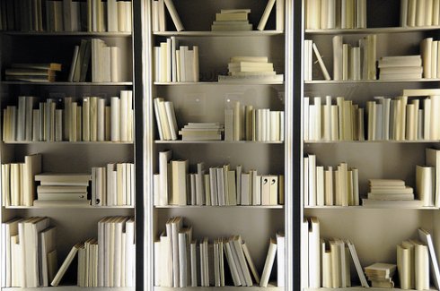 Bookshelf Organization